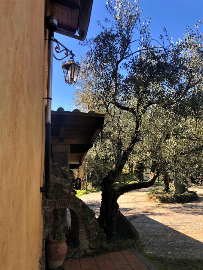Casale L'Antica Mola Vila Castel Madama Exterior foto