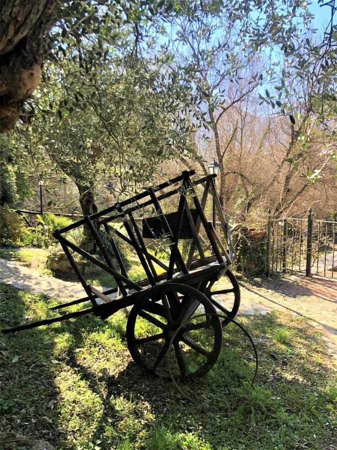 Casale L'Antica Mola Vila Castel Madama Exterior foto